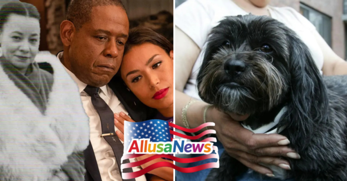 Bumpy Johnson Daughter